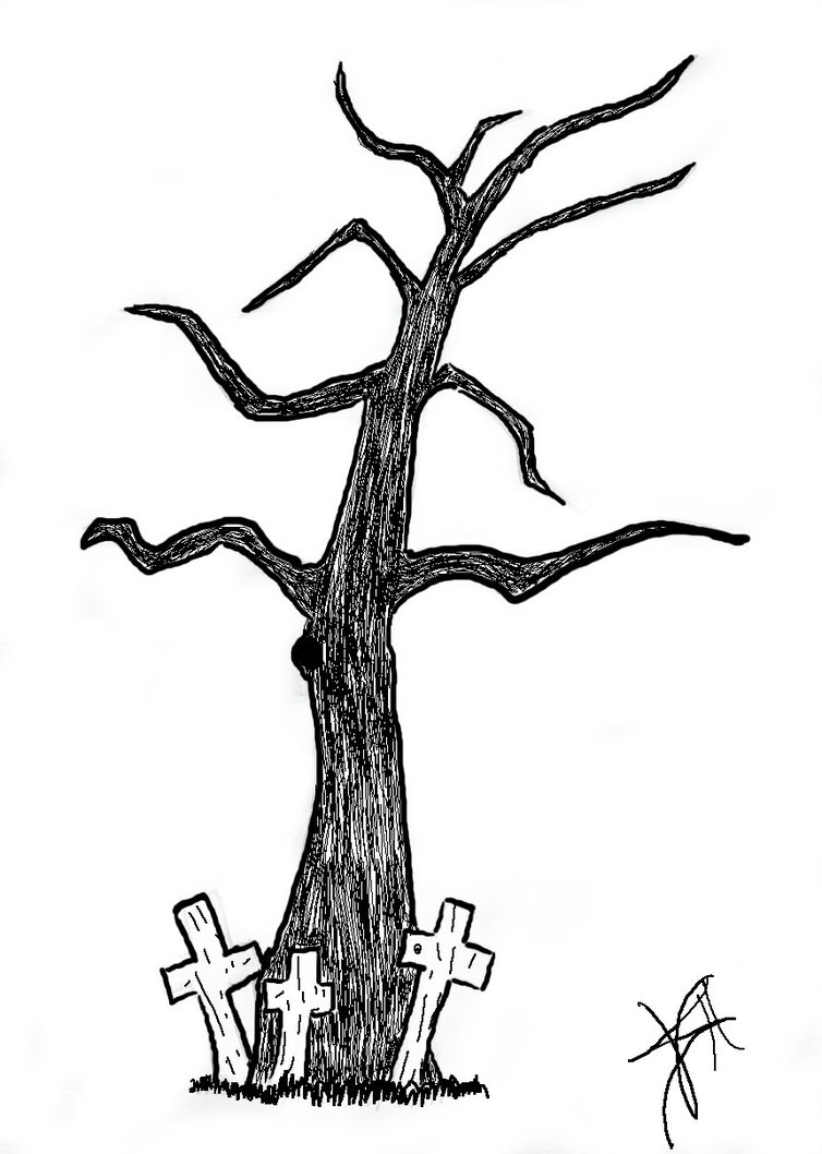 Tree sketch -- edited - ClipArt Best - ClipArt Best