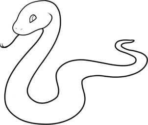 1000+ images about Snake | Python, A snake and Snakes