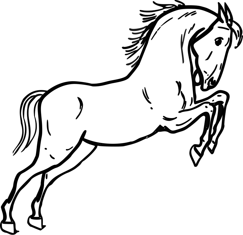 Horse Drawing Outline Coloring Page | Horse Coloring Pages Org ...