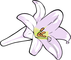 Lilly Clipart | Free Download Clip Art | Free Clip Art | on ...