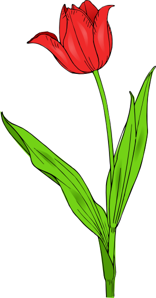 Colored Tulip clip art - vector clip art online, royalty free ...