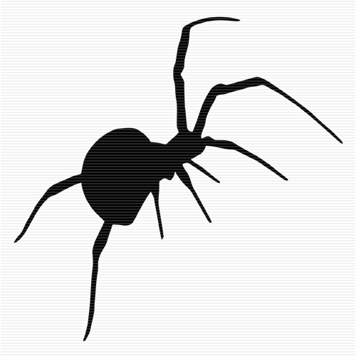 red back spiders Colouring Pages