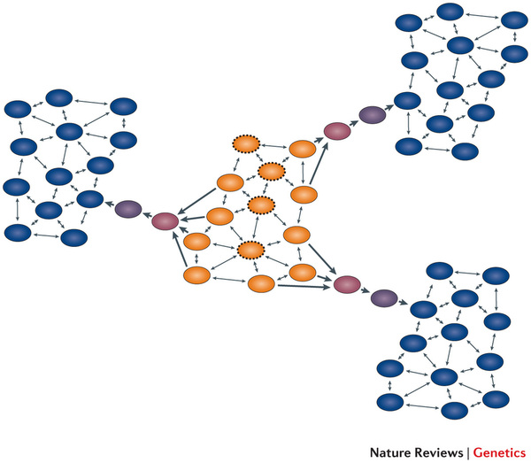 Evolutionary biochemistry: revealing the historical and physical ...