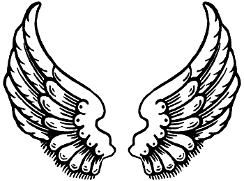 Drawings of Angel Wings - Image 4 - ClipArt Best - ClipArt Best