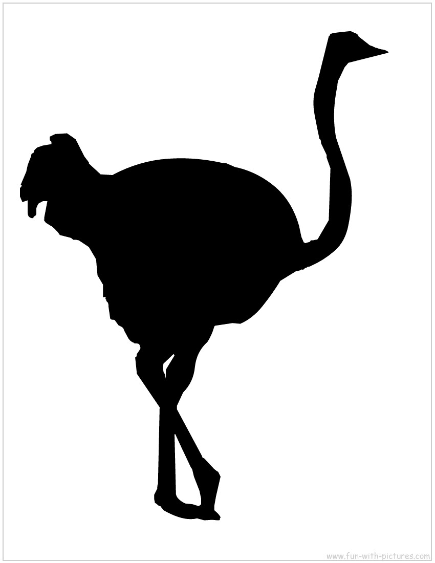 ostrich-silhouette.jpg