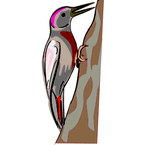 Woodpecker clipart, cliparts of Woodpecker free download (wmf, eps ...