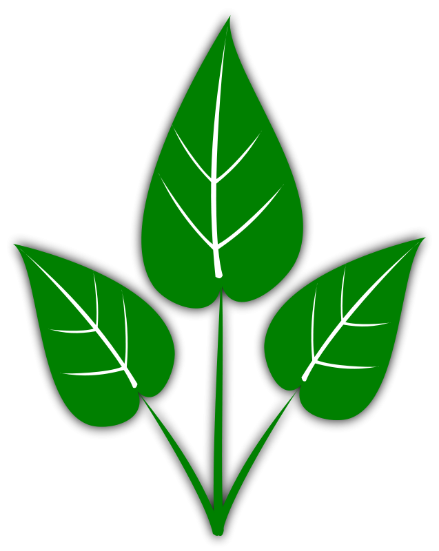 leaves clip art | Hostted