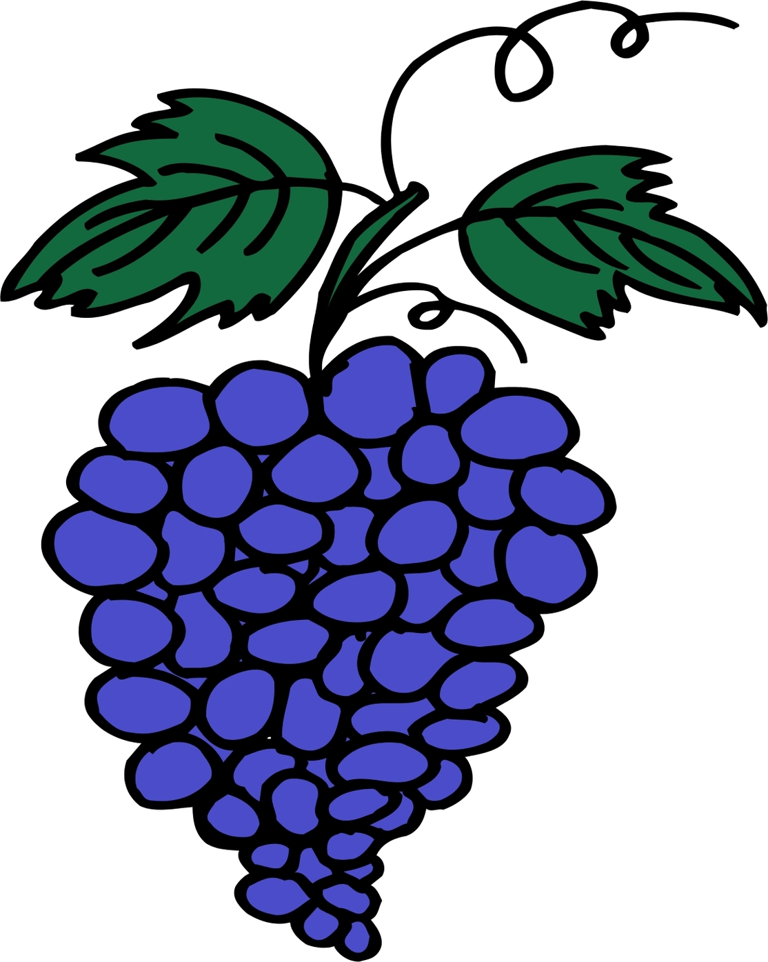 Cartoon Grape Clipart - Free to use Clip Art Resource