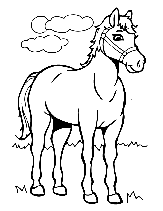 white horse cartoon clipart