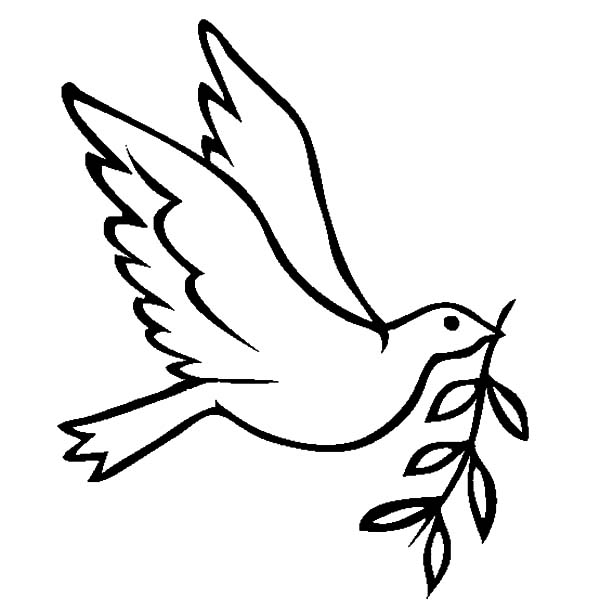 Dove Bird FLy with Olive Leaves Coloring Pages - Free & Printable ...