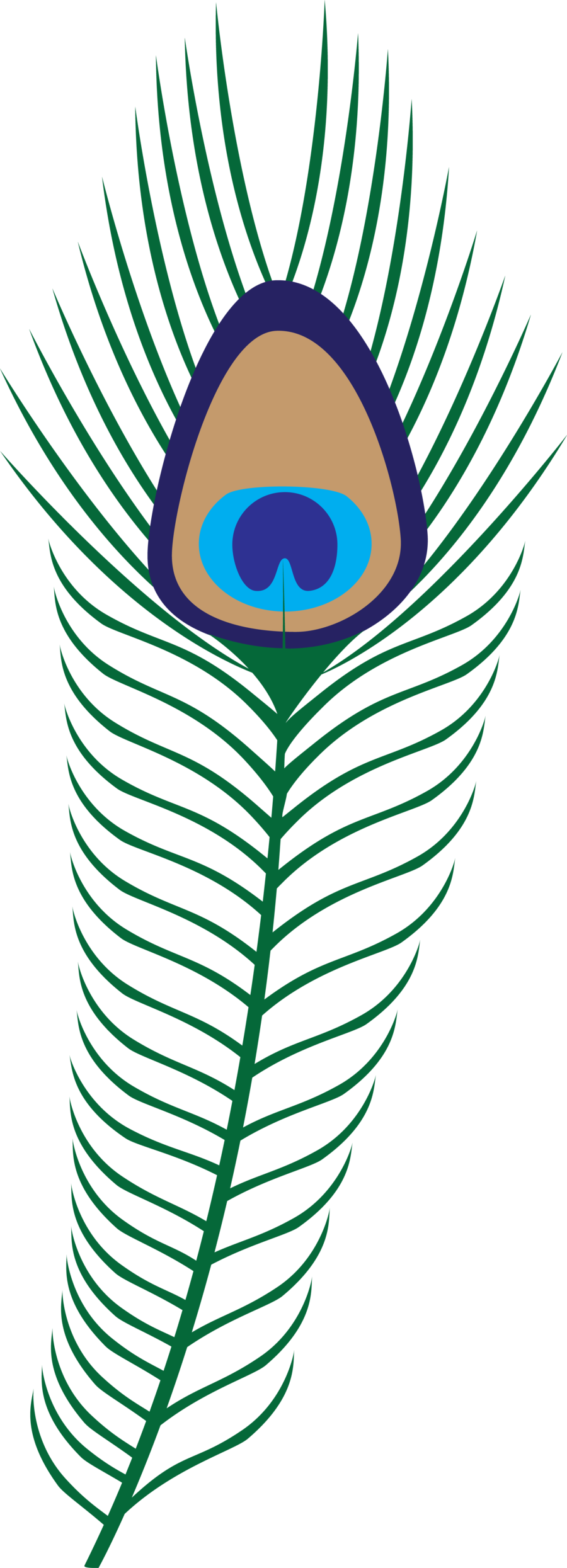 Peacock feather clip art free download