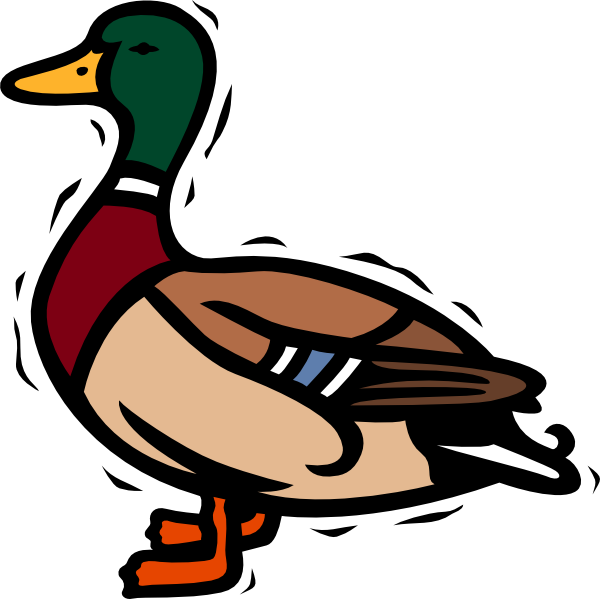 Mallard Duck Free Clipart