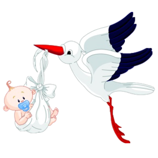 Stork Carrying Baby Boy - Cute Baby And Animals