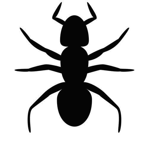 Ant vector silhouette | Public domain vectors
