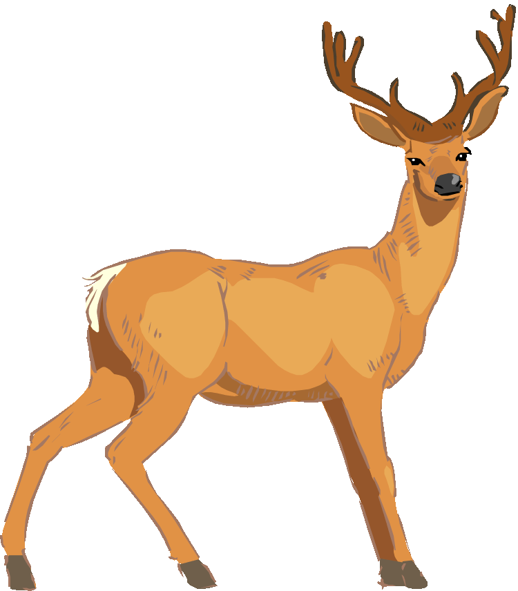 Clip art deer