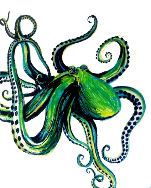 1000+ images about Octopus art | Octopus drawing ...