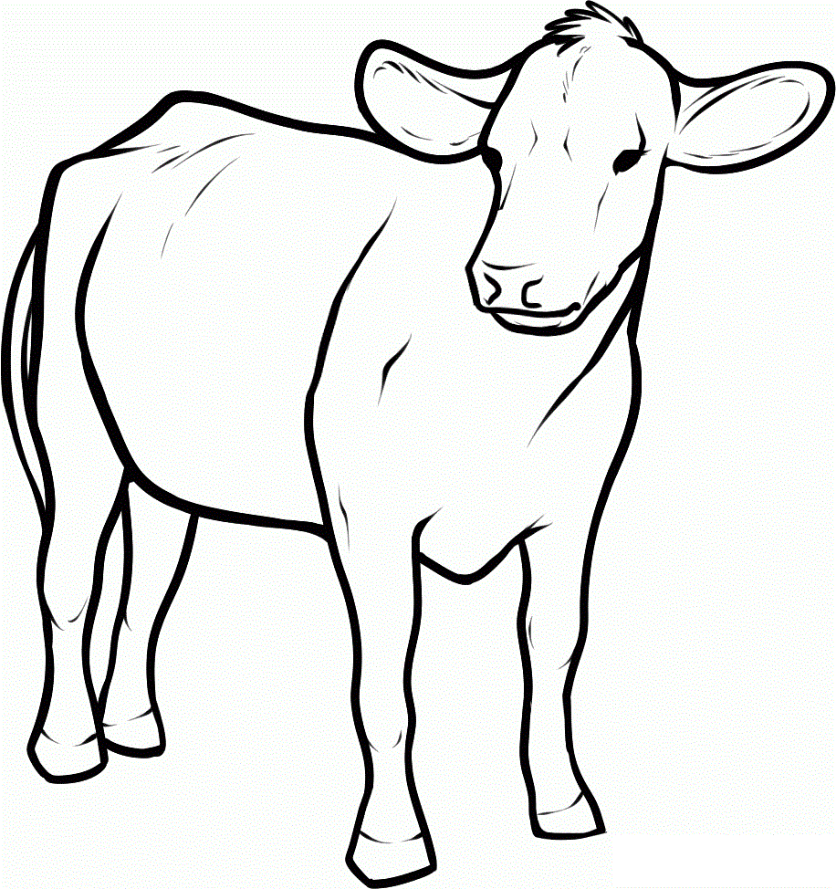 Outline Of Cow | Free Download Clip Art | Free Clip Art | on ...