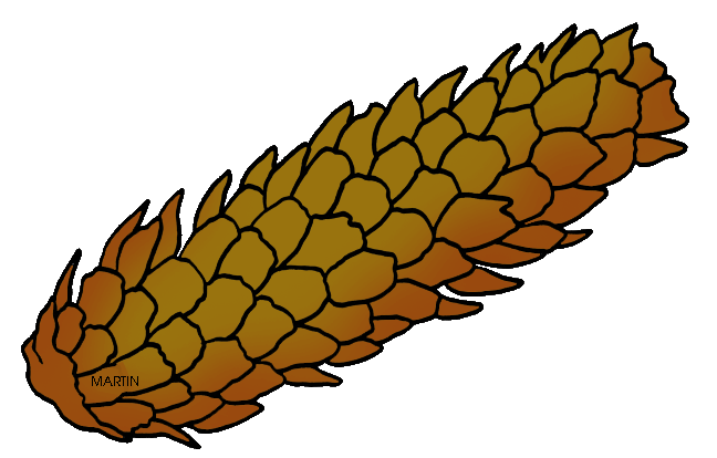 Free Trees Clip Art by Phillip Martin, Blue Spruce Pine Cone