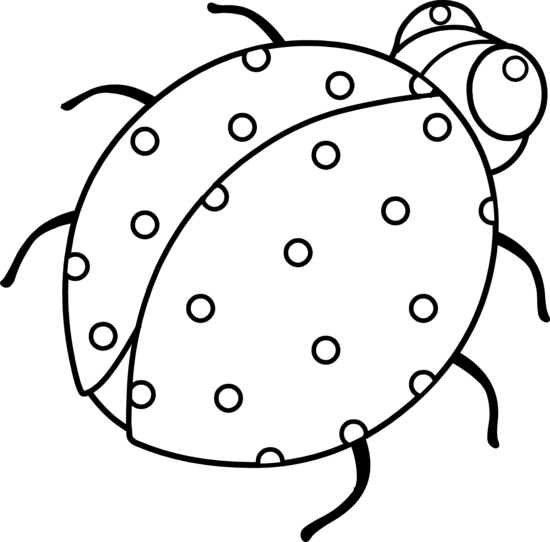 Black And White Ladybug Clipart | Free Download Clip Art | Free ...