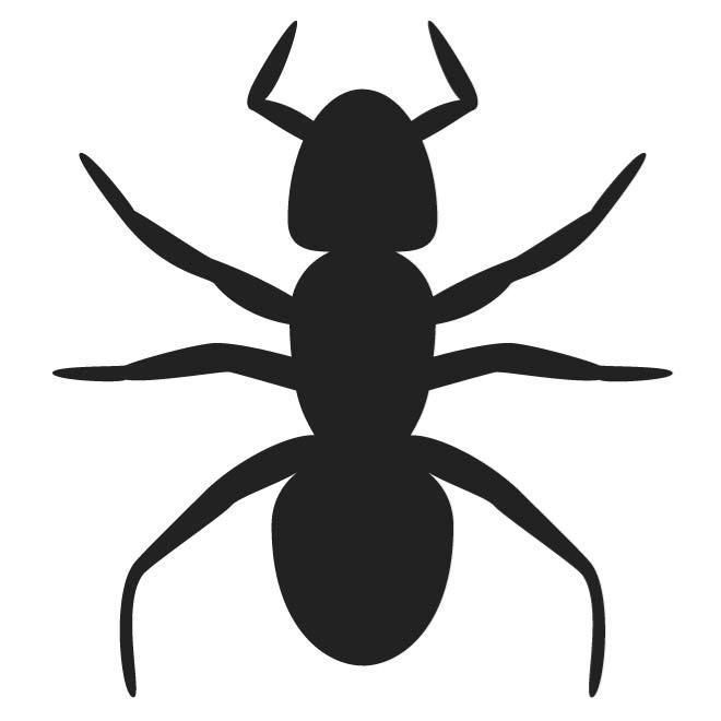 ANT OUTLINE IMAGE - Download at Vectorportal
