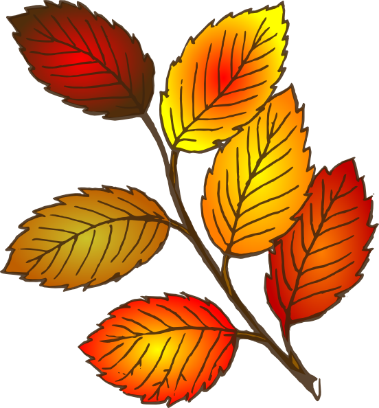 Autumn Leaves Clipart | Free Download Clip Art | Free Clip Art ...