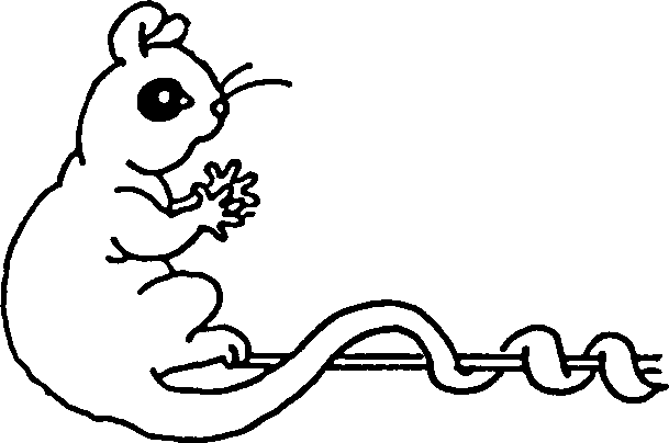 Opossum Clip Art