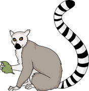 Lemur Clip Art - Free Clipart Images