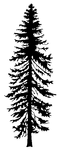 Trees | Mad Science, Tree Silhouette and Firs