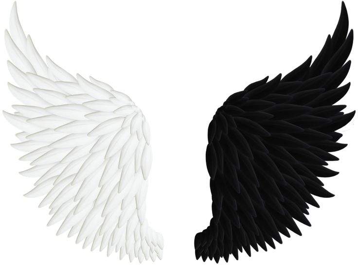 Angel Wings Png | Angels, White ...