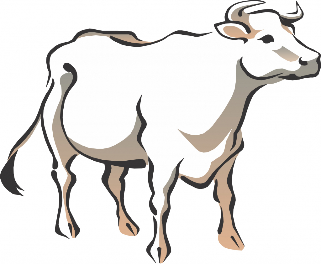 Cartoon Drawing Of A Cow - Drawing Art Library