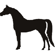 Horse Head Stencil - ClipArt Best