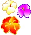 Luau Clip Art – New England Stock Photos - Royalty-free Images