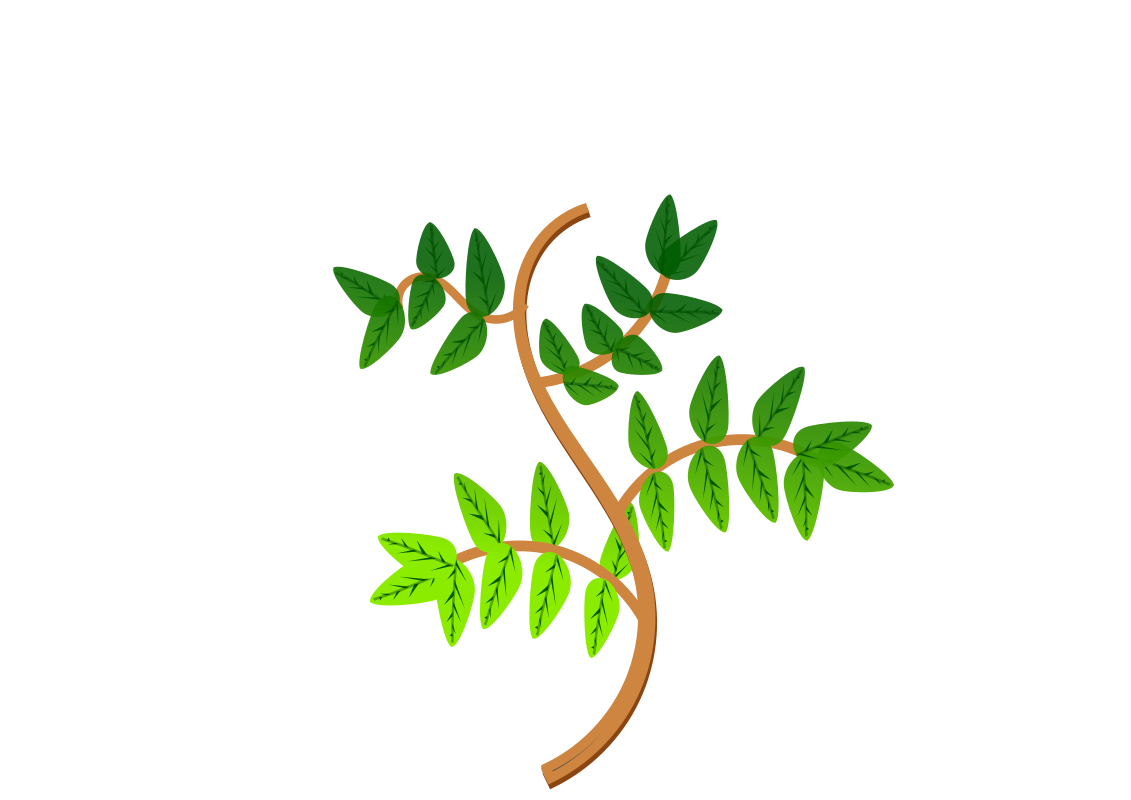 Clipart - Leaves and branches 2