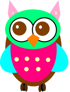 colorful-baby-owl-chick-md.png