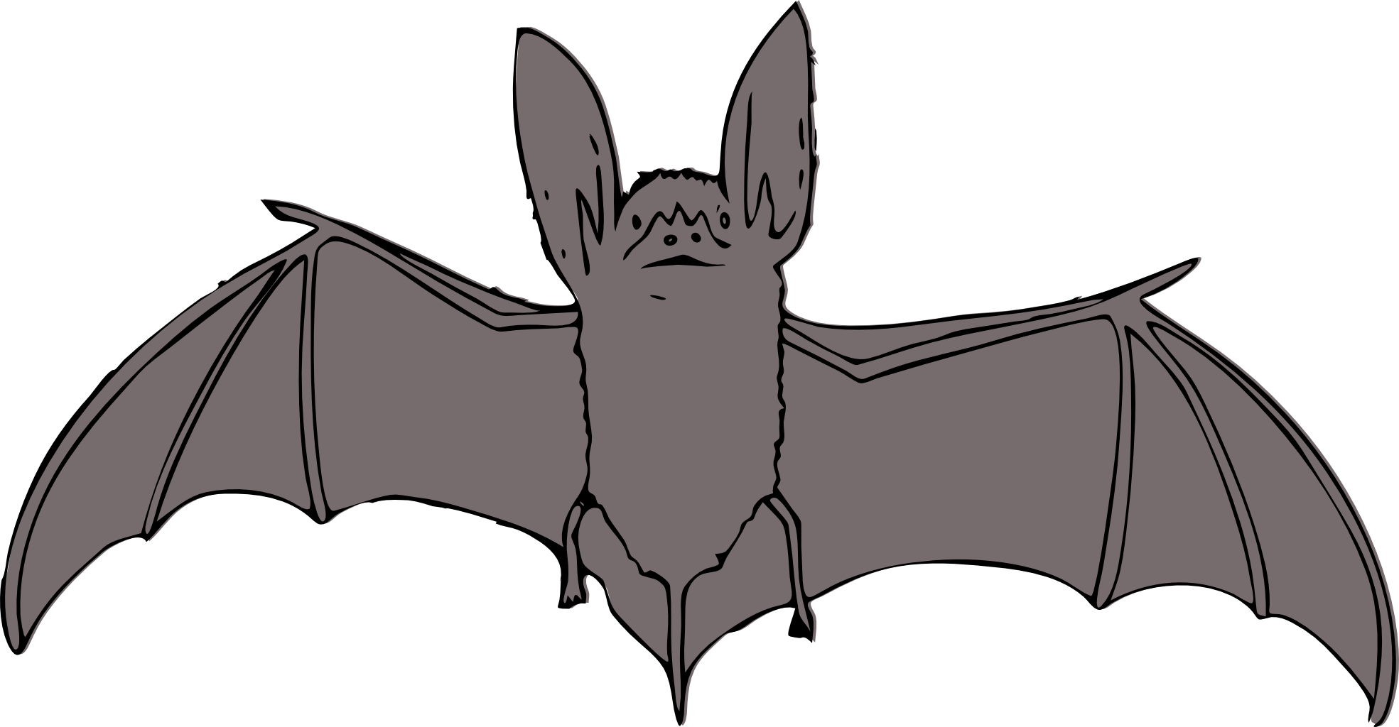 Bat Clipart Black And White - HVGJ