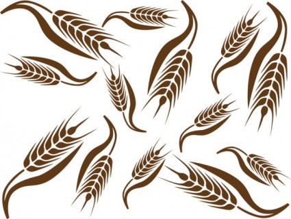 Wheat Free vector for free download (about 164 files).