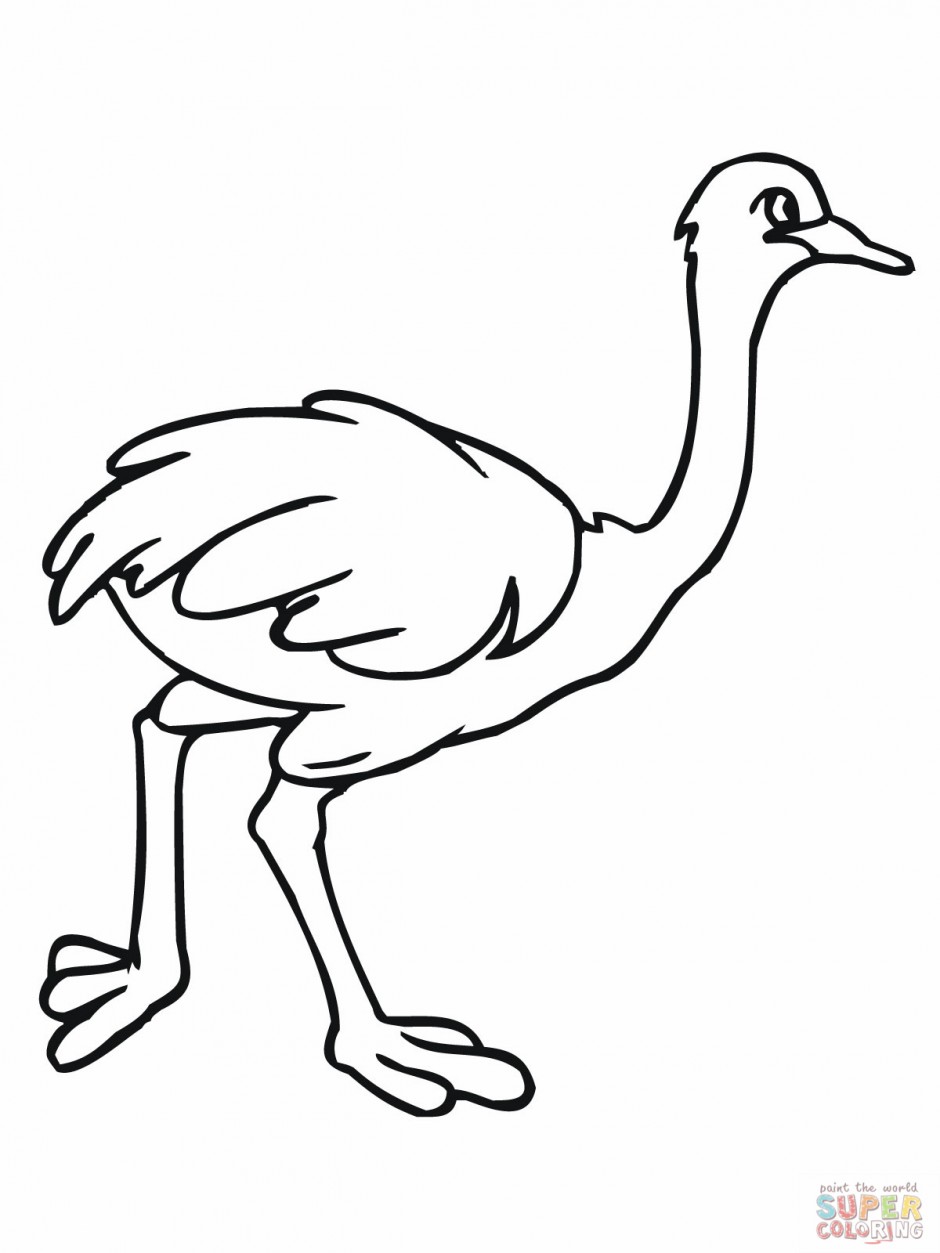 Ostrich Drawing Kids Ostrich colouring page inside Ostrich ...