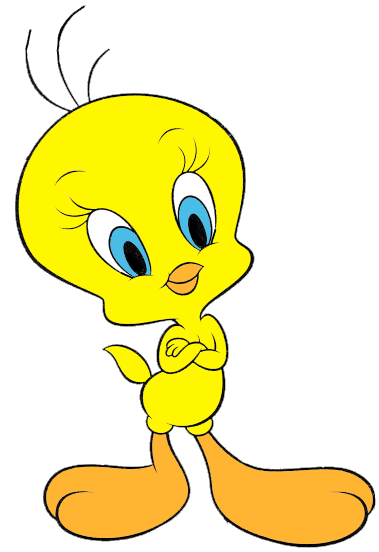 1000+ images about my tweety bird