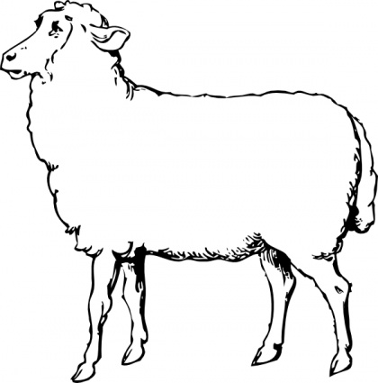 Ox Clipart