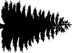 Pine tree outline clipart