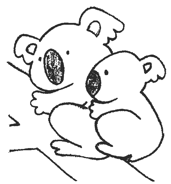 Kids-n-fun.com | 11 coloring pages of Koala bears