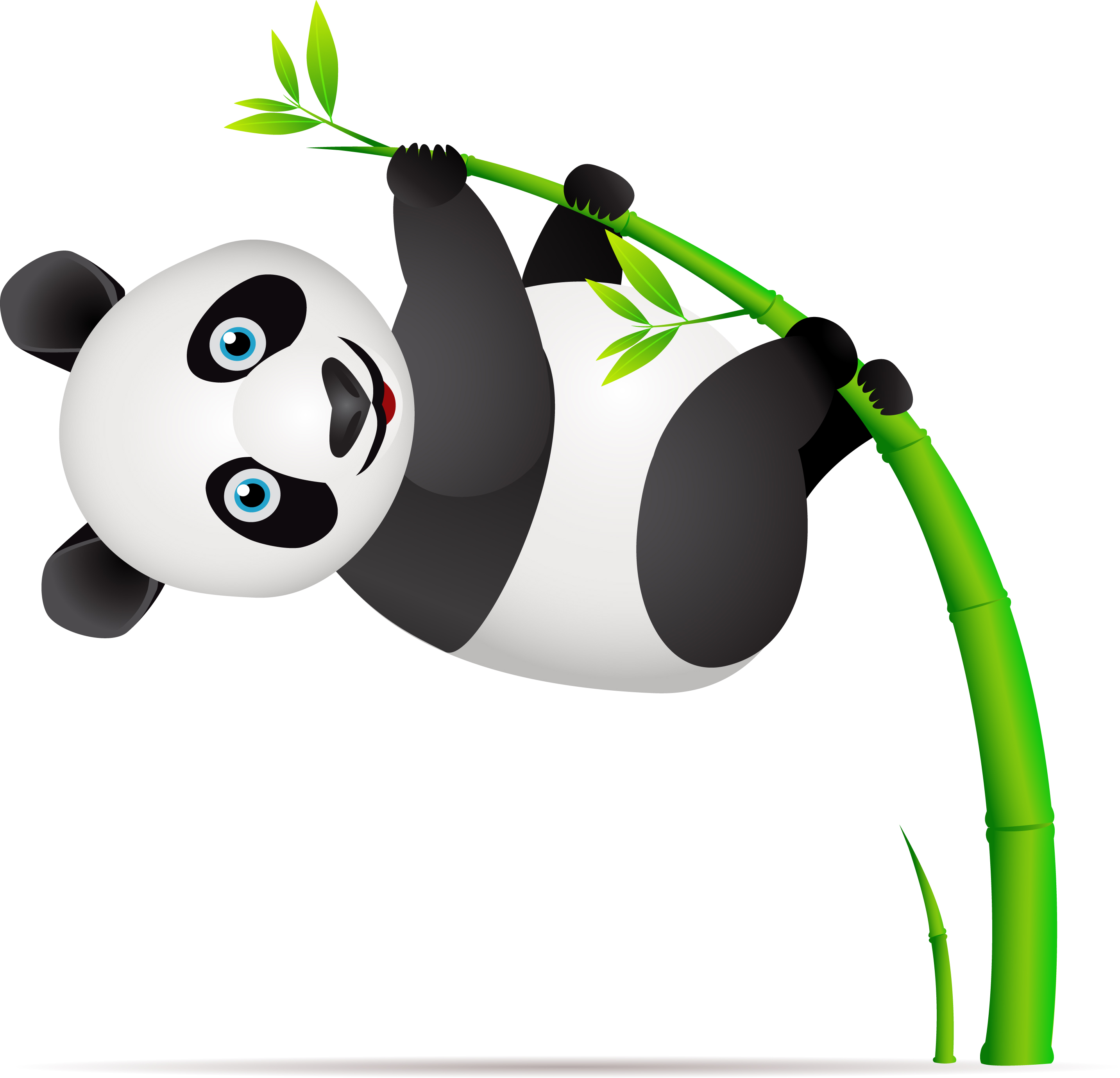 Panda Bear Mobile Gymnastics