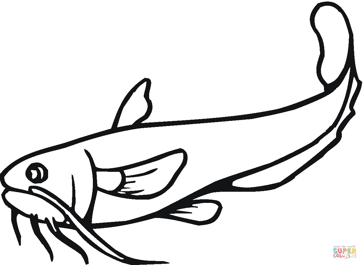 Раскраска рыбка сомик