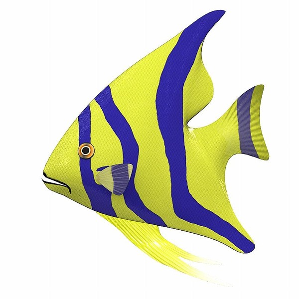 Animated Fish Clipart