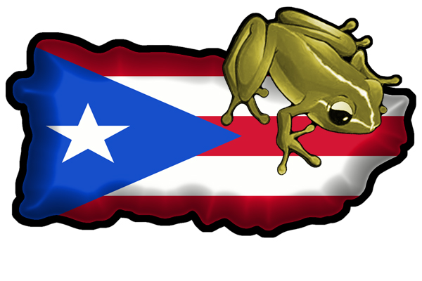 Puerto Rico Coqui Clipart
