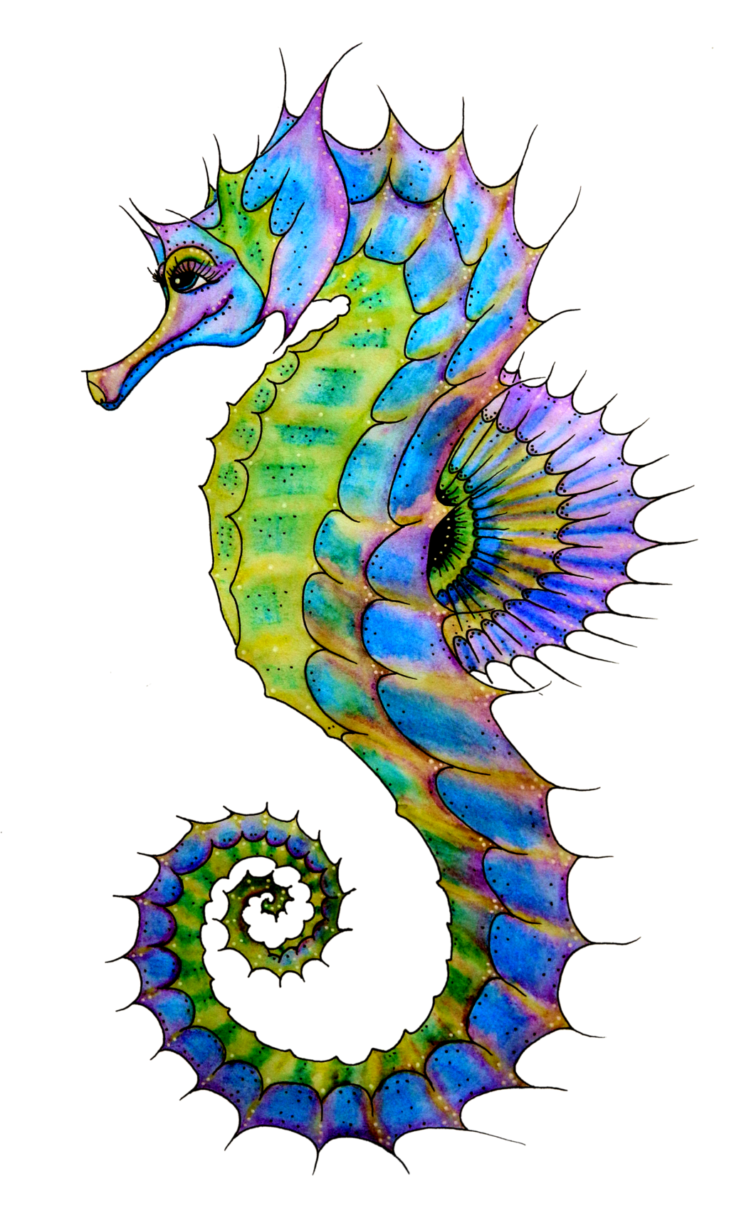 Seahorse PNG Transparent Images | PNG All