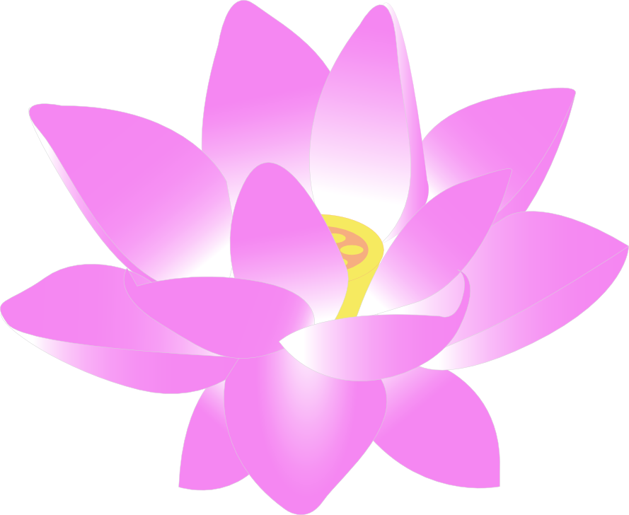 Flower clipart images png