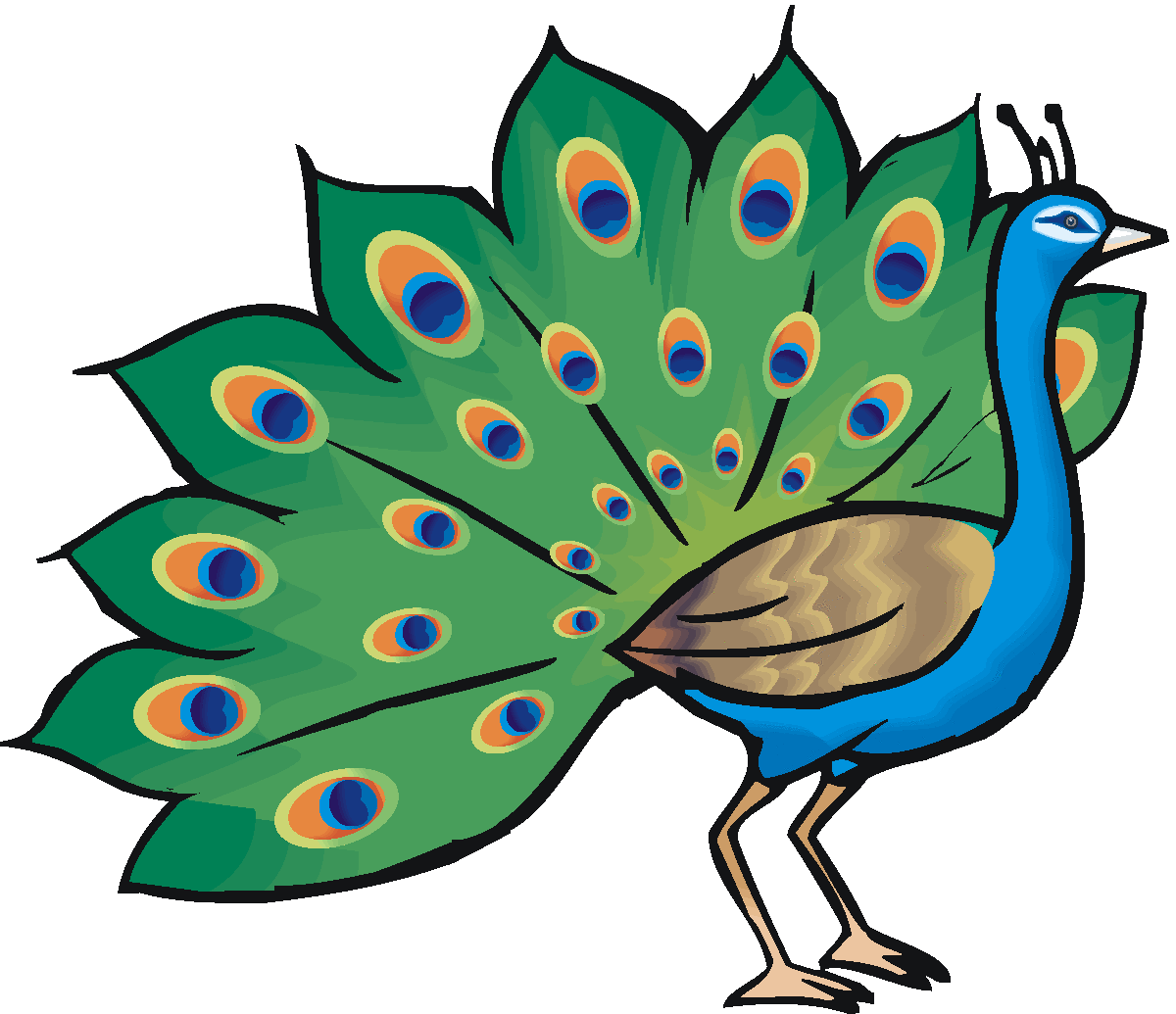 Clip art peacock