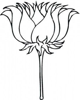 Lotus Flower Outline Clipart - Free to use Clip Art Resource