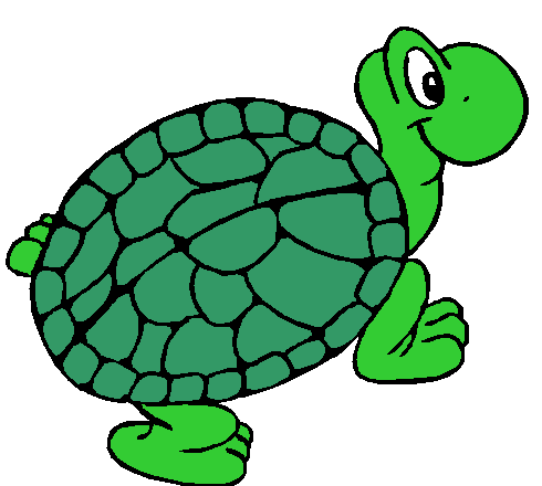 Turtle Cartoon - ClipArt Best